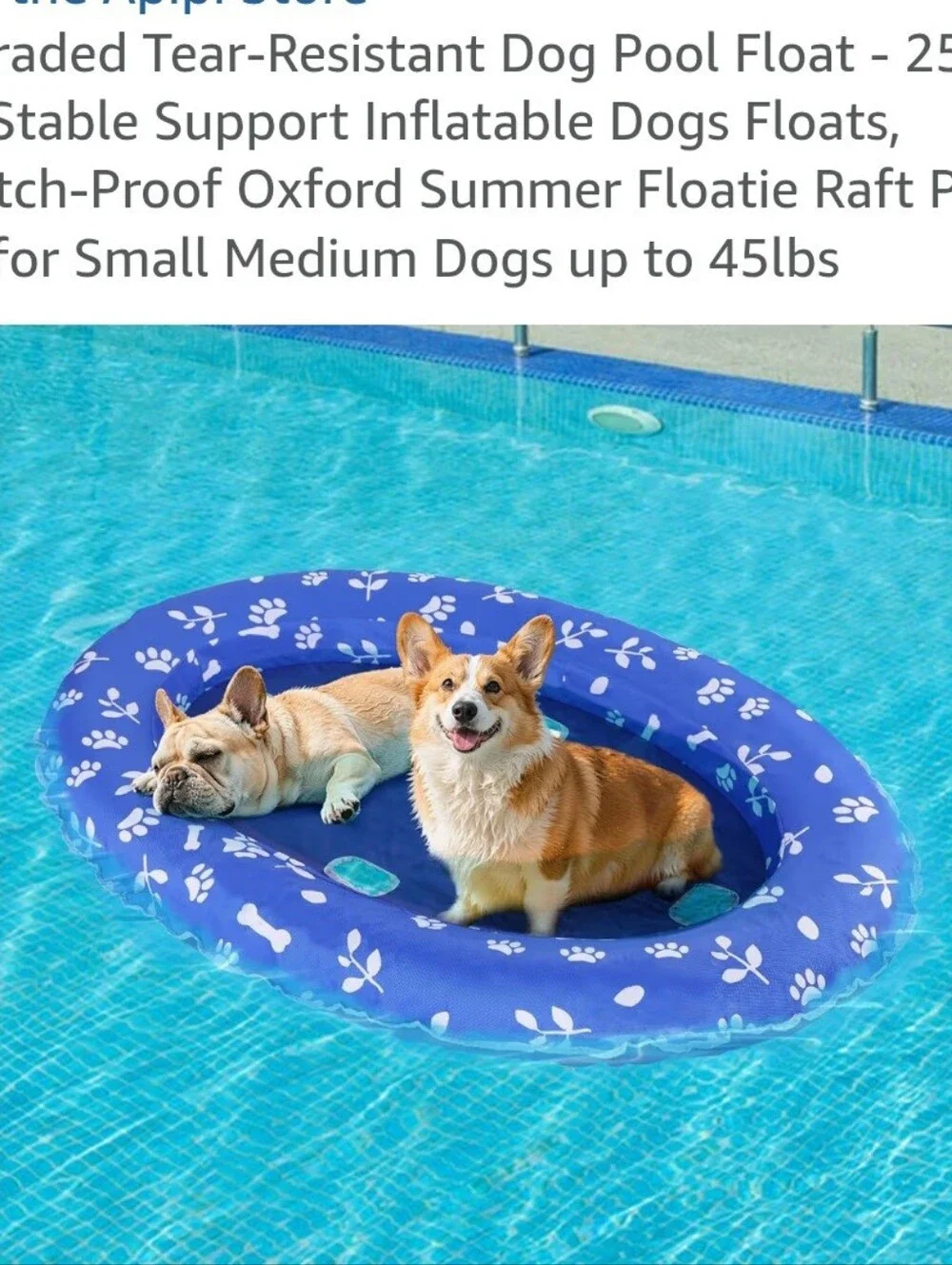 Blue Paw Print Inflatable Dog Pool Float